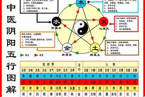 1984海中金|高人指点84年海中金命，84年属鼠人一生运势及注意禁忌 